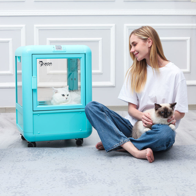 Blue PET Drying Room box PTC Air Bath Penghematan Energi Suhu Konstan