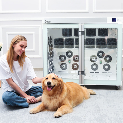 Kotak Mesin Pengering Rambut Anjing Salon Keselamatan Hemat Energi Untuk Anjing Besar