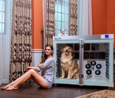 220V 2500W Pet Dryer Cage 6 Blower Kebisingan Rendah Untuk Perawatan Anjing