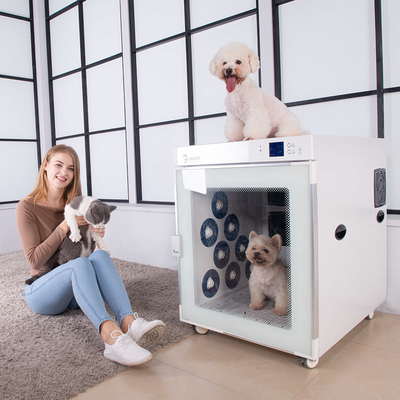 220V 2500W Pet Grooming Cage Dryers Pabrikan Oksigen Dengan 4 Blower