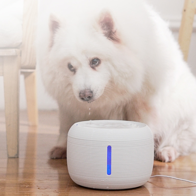 Smart Pet Water Dispenser Filter Sirkulasi Stainless Steel Cat Pengisian Usb